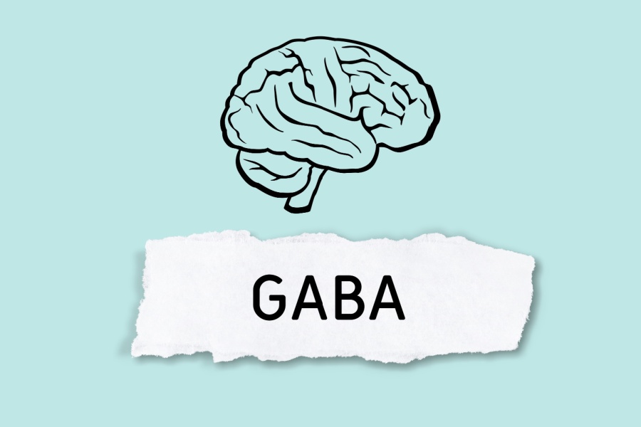 GABA